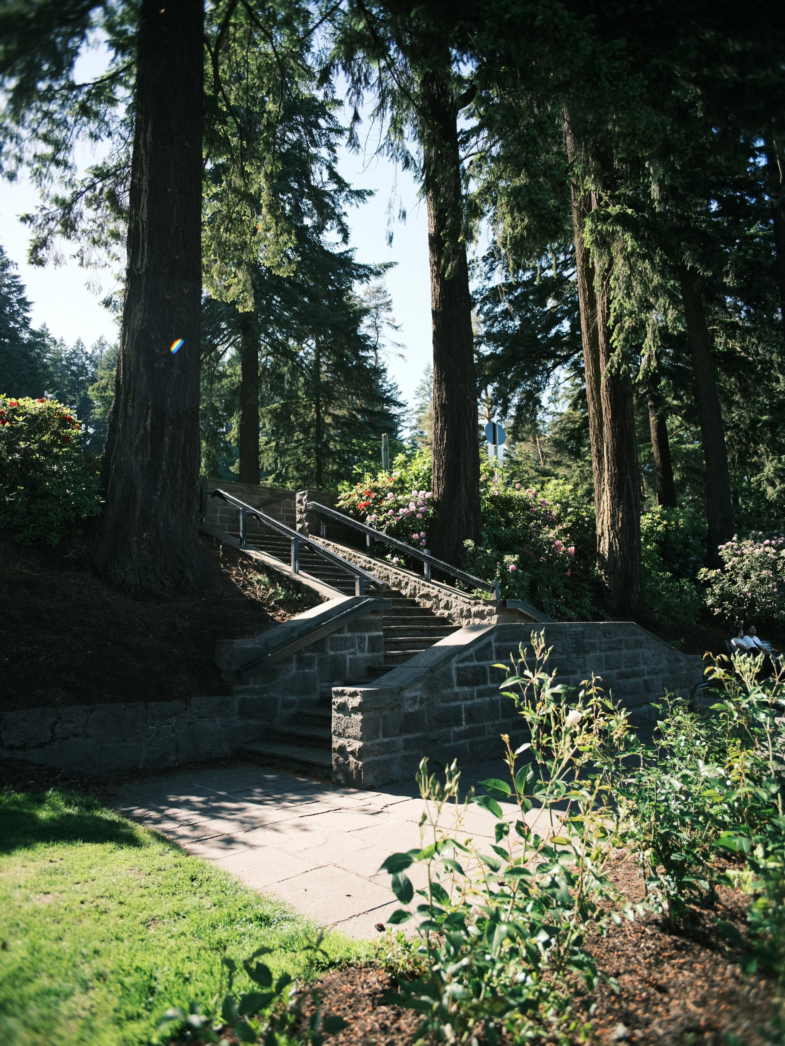 DSCF9583.jpg