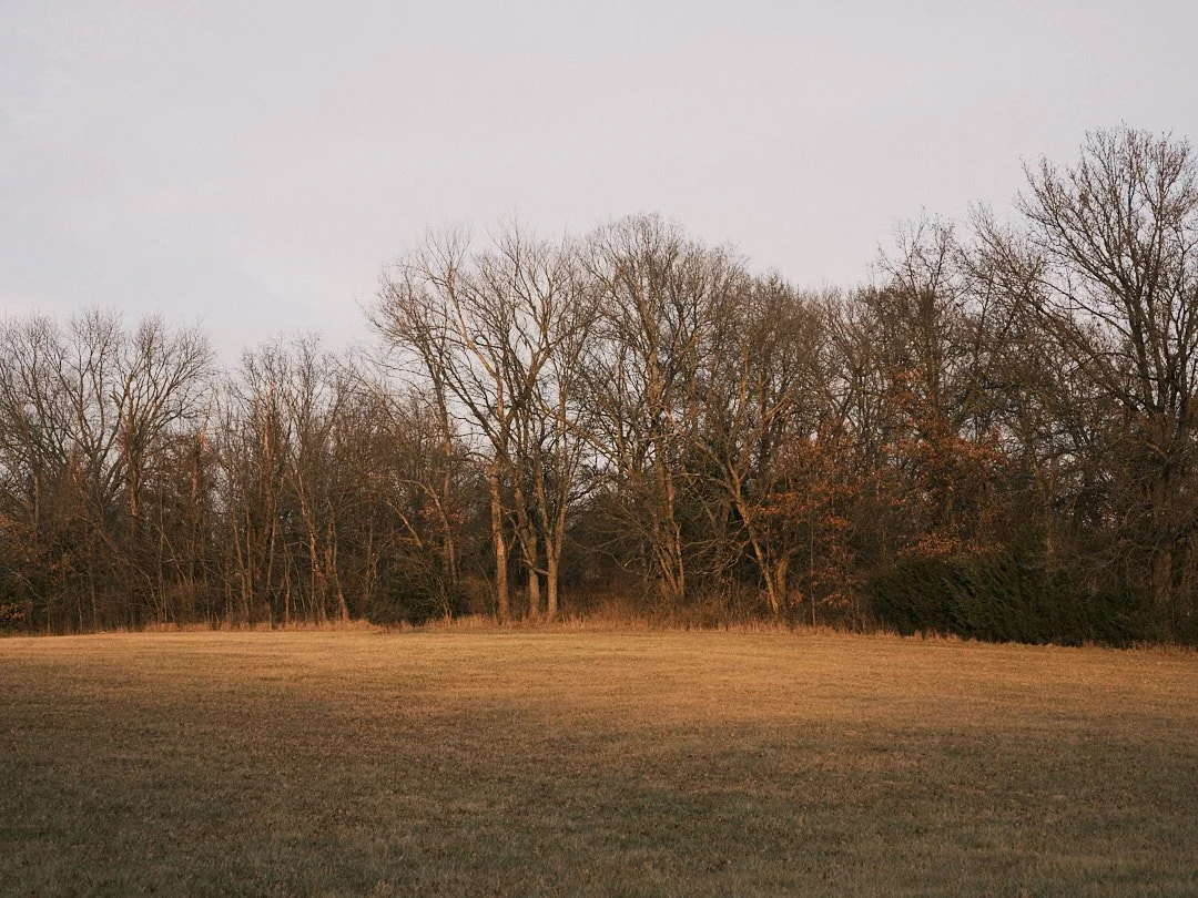 DSCF7620.jpg