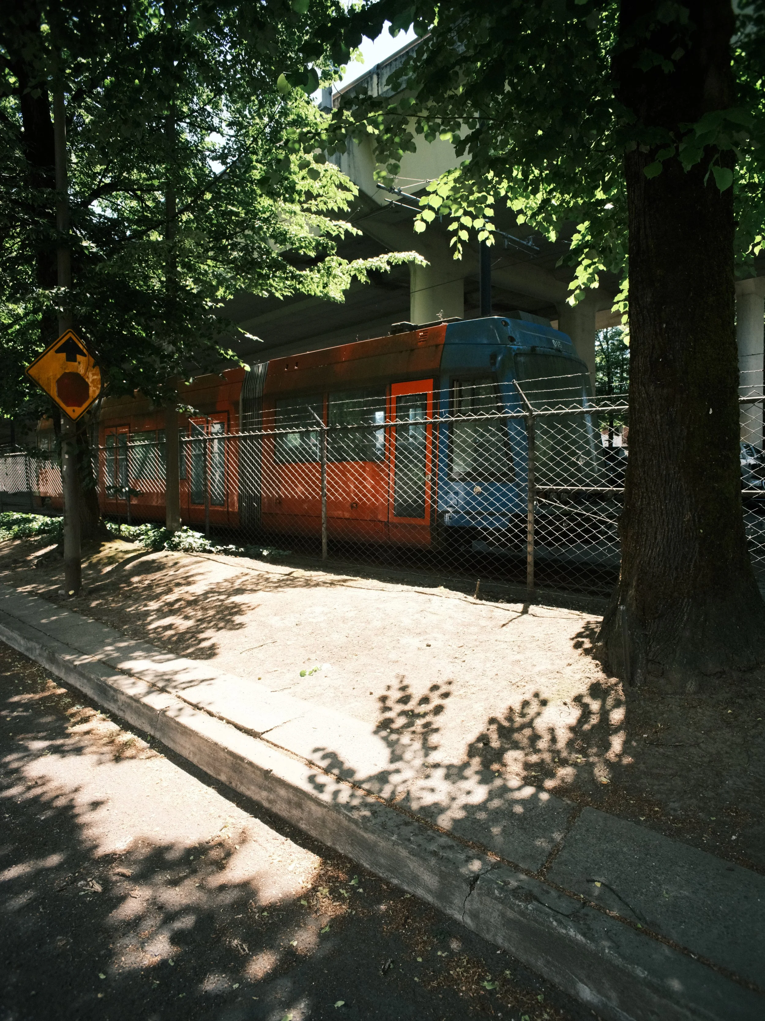 DSCF9446.jpg