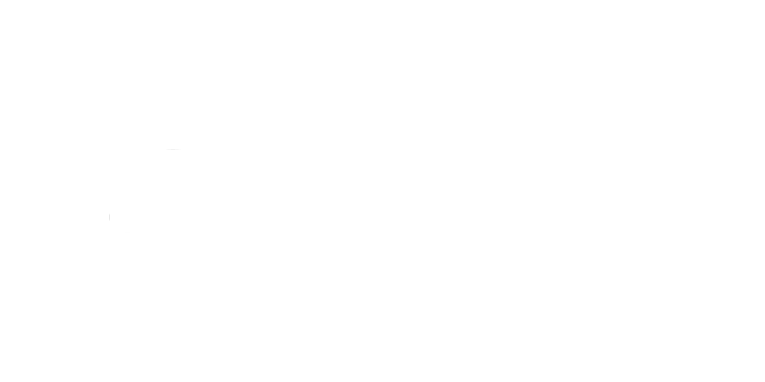 Logo for The Anti-Bride in black and white with elegant font.