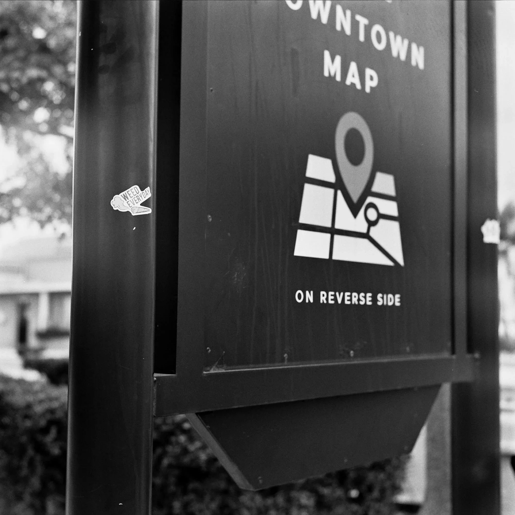 The Cycle Read with Shamanic Witch