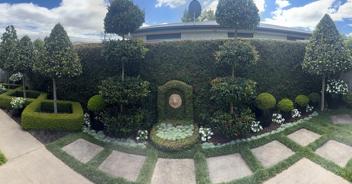 One of our compact gardens highlights the need for meticulous planning &amp; design in limited spaces.

#landscapedesign #landscapedesignstudio #hamiltongardens #waikato #gardeninspiration