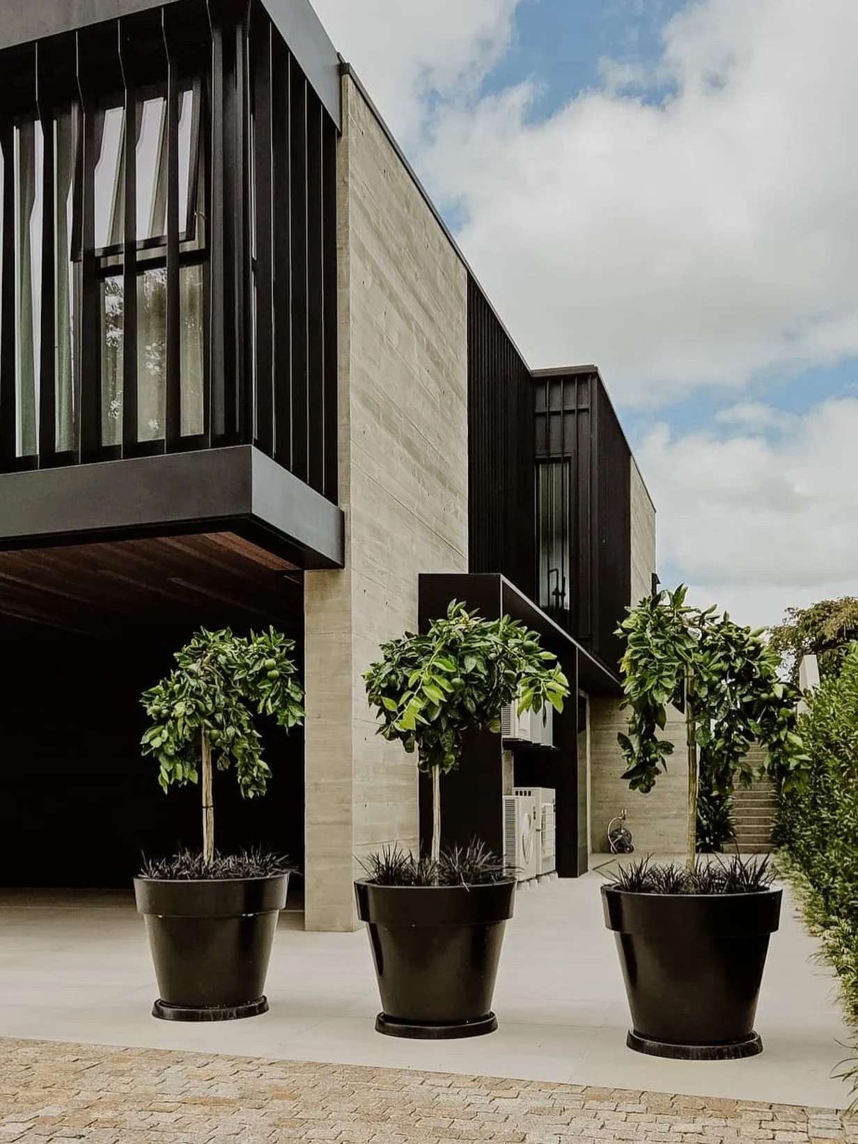 Glossy black @modsceneoutdoors planters with standard weeping Cipo oranges are used to deflect traffic off the tiles. 

#landscapedesign #gardendesign #moderngarden #urbandesign #hamilton