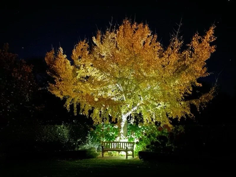 Night lighting at its best