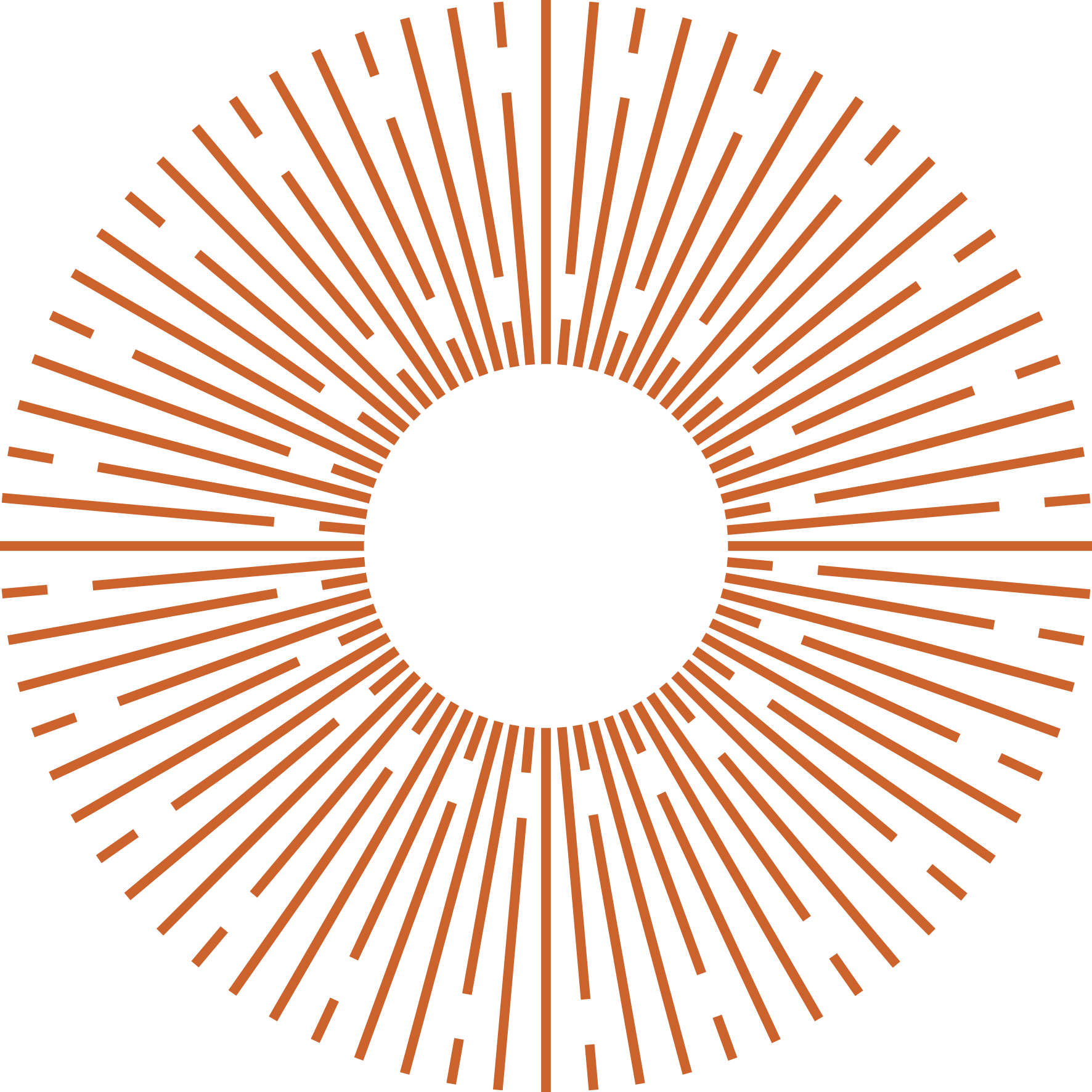 Design featuring a circular pattern of orange lines radiating outward on a black background.