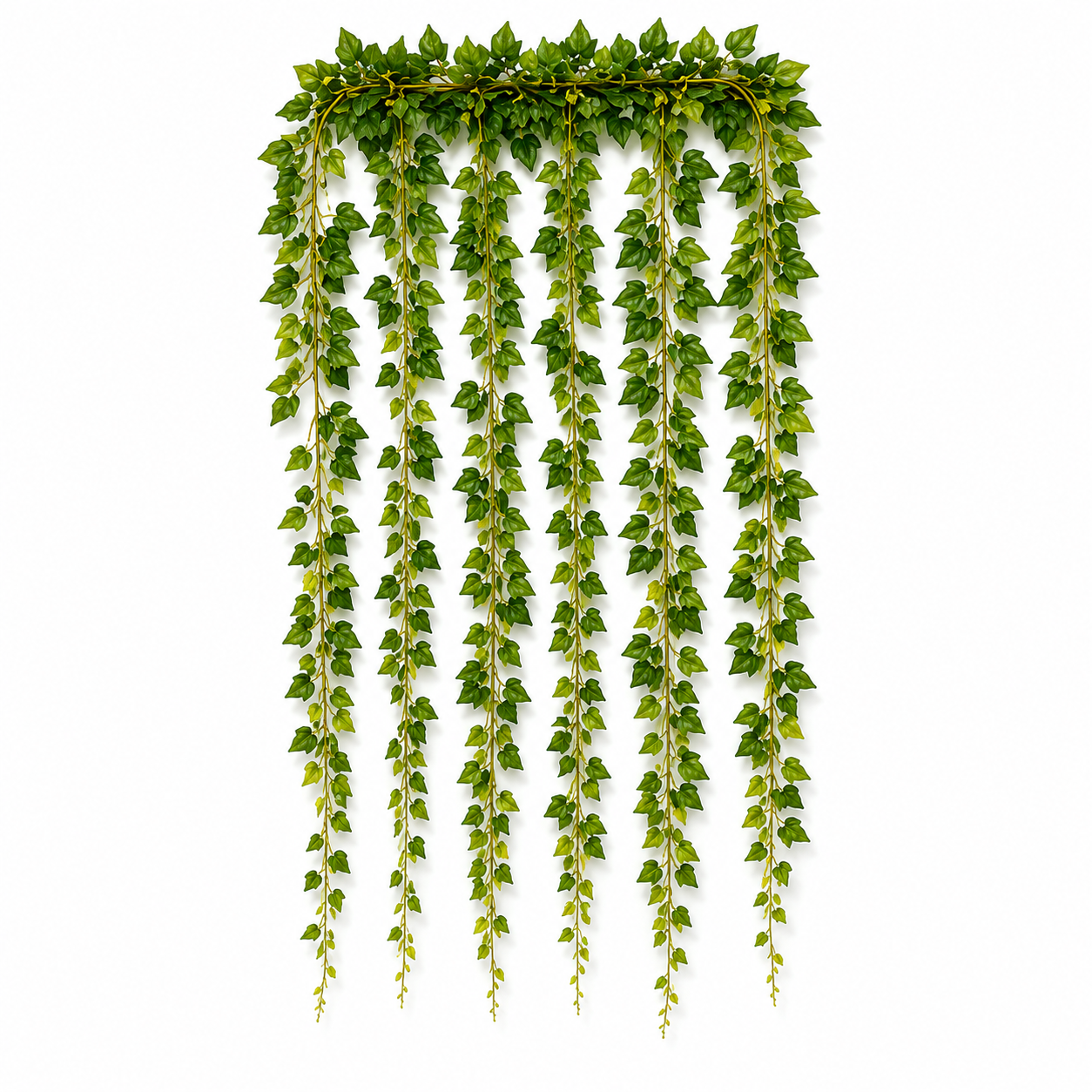 Hanging Vines
