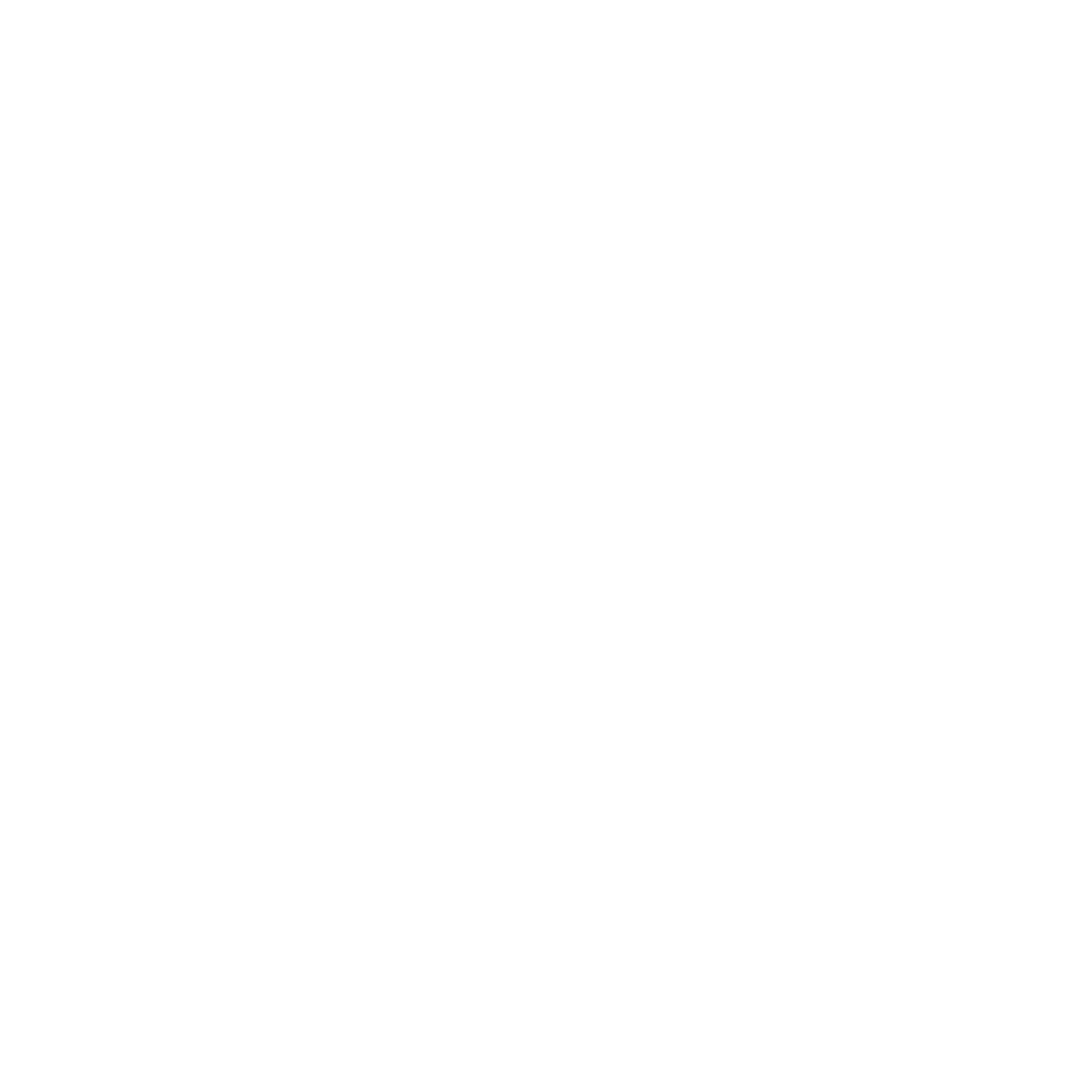 Client Logo_White_06. Havianas.png