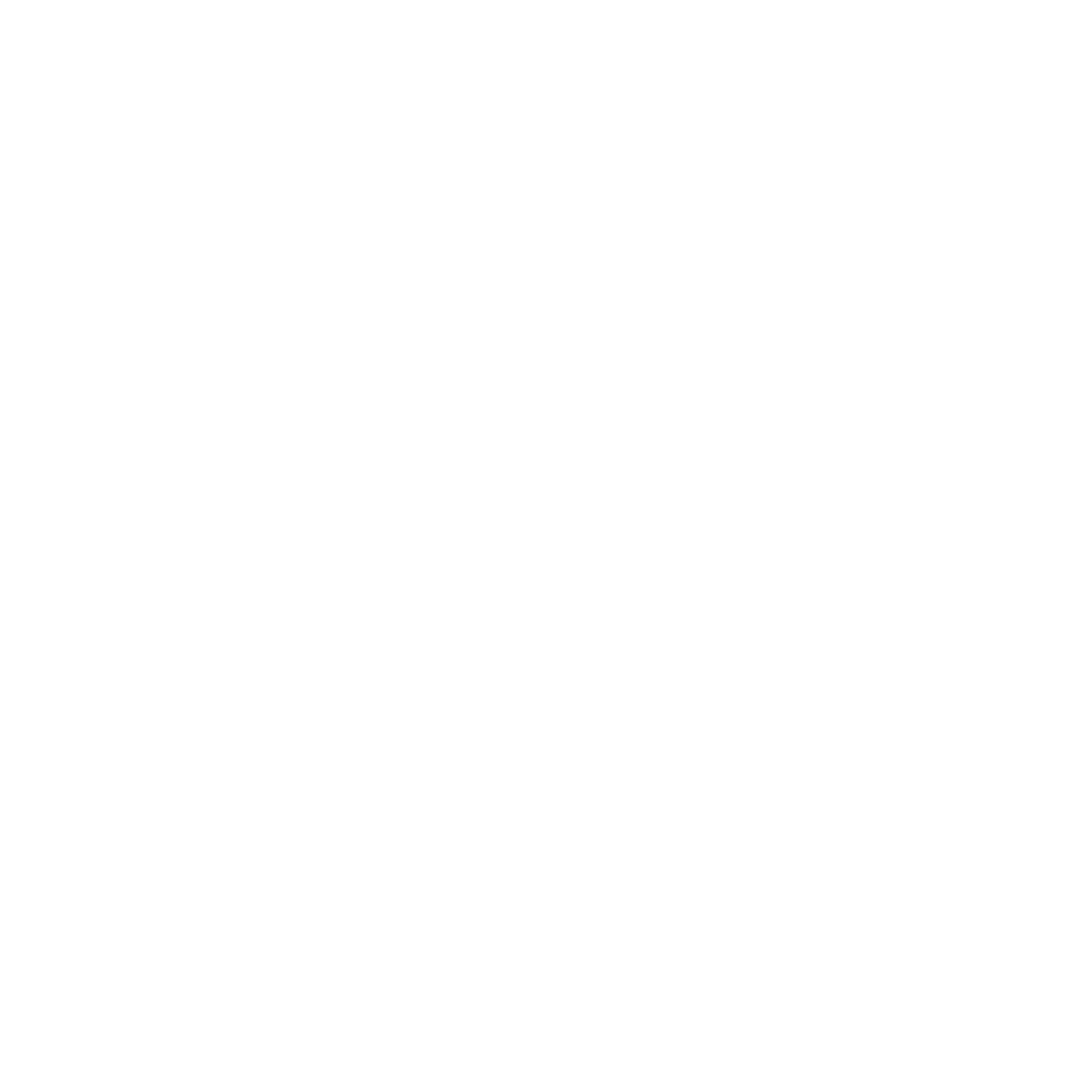 Client Logo_White_21. Noosa Longboards.png