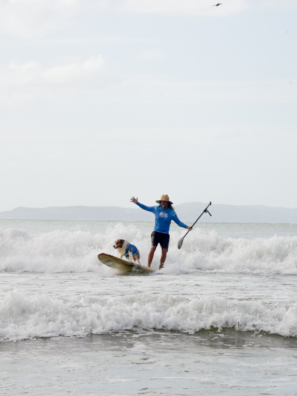 Person surfing on a wave with a dog, wearing a blue shirt and straw hat, holding a paddle, at the beach. A helicopter is flying in the sky in the background.