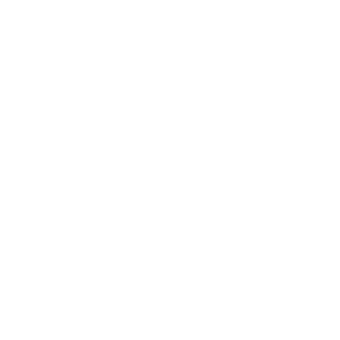 White_25. Initiative.png