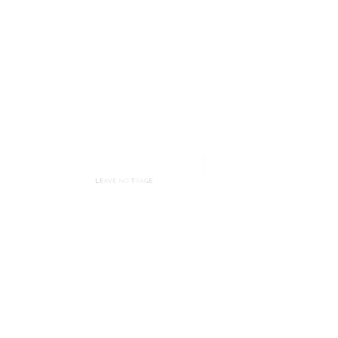 White_38. EarthNinja.png