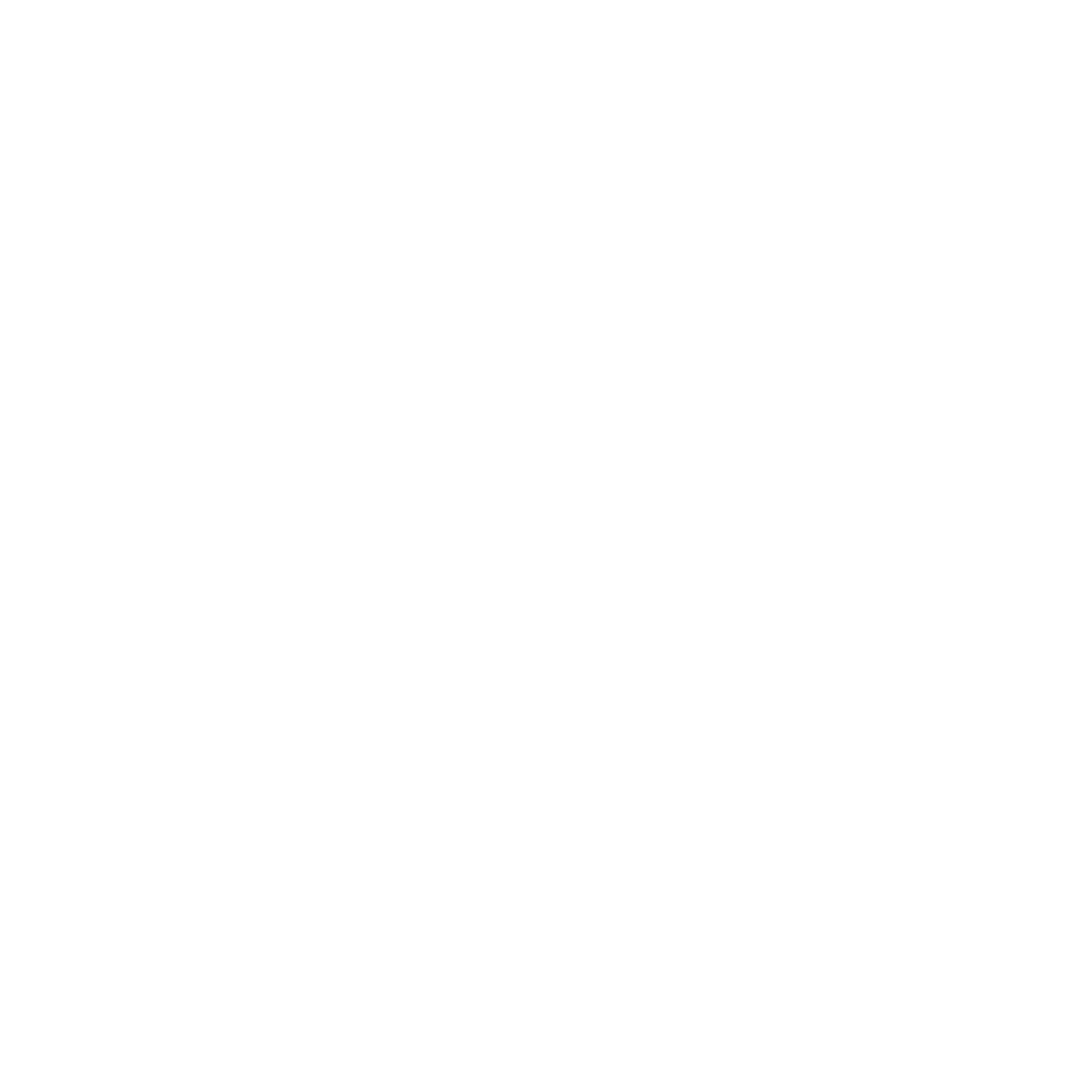 Client Logo_White_05. FTN Motion.png