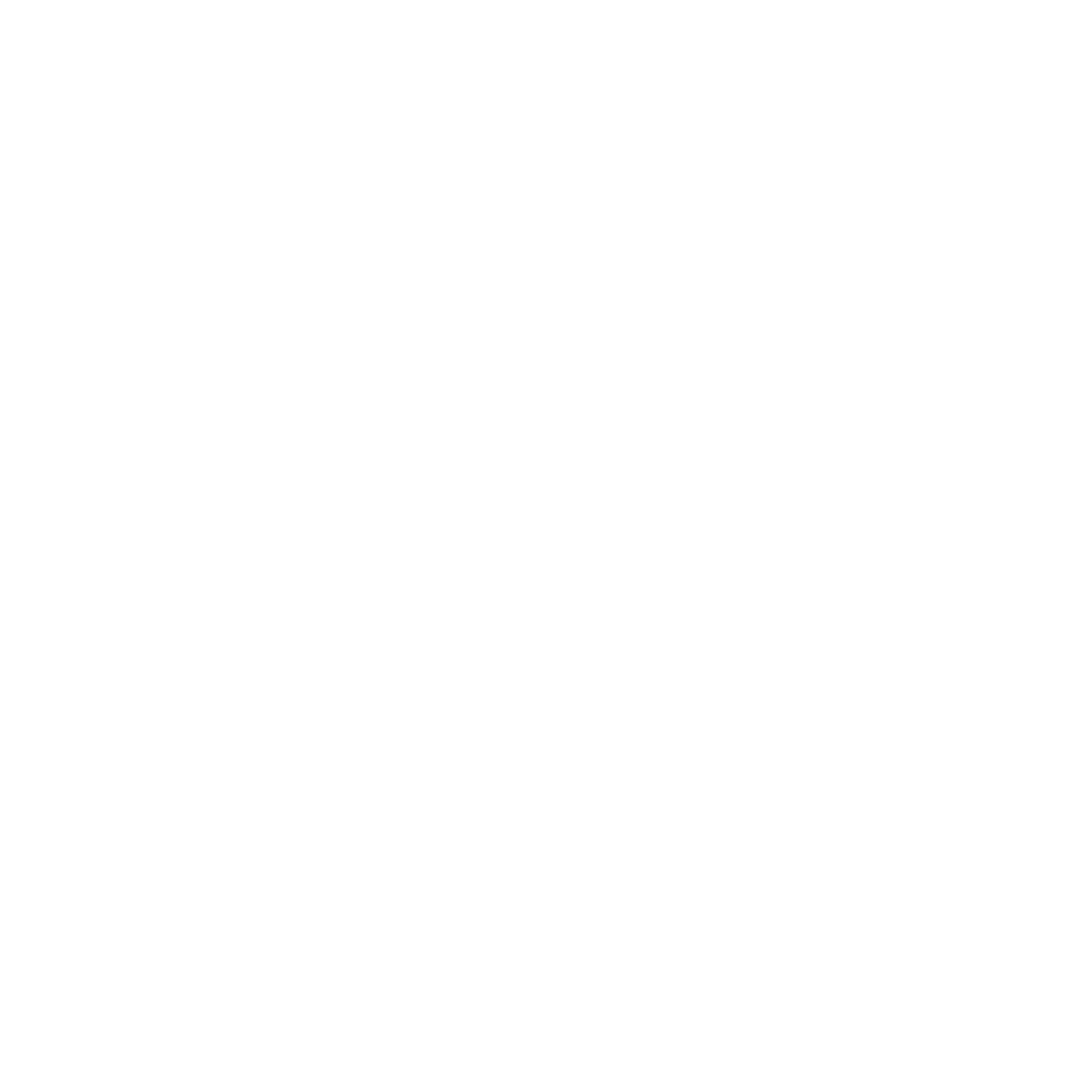 Client Logo_White_10. BYD.png