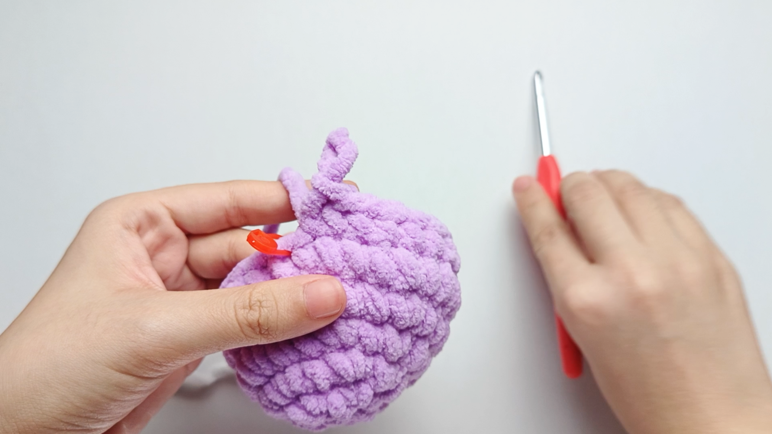 Make 10 purple single crochets (sc): Color change to purple and make 10 purple single crochets (sc).