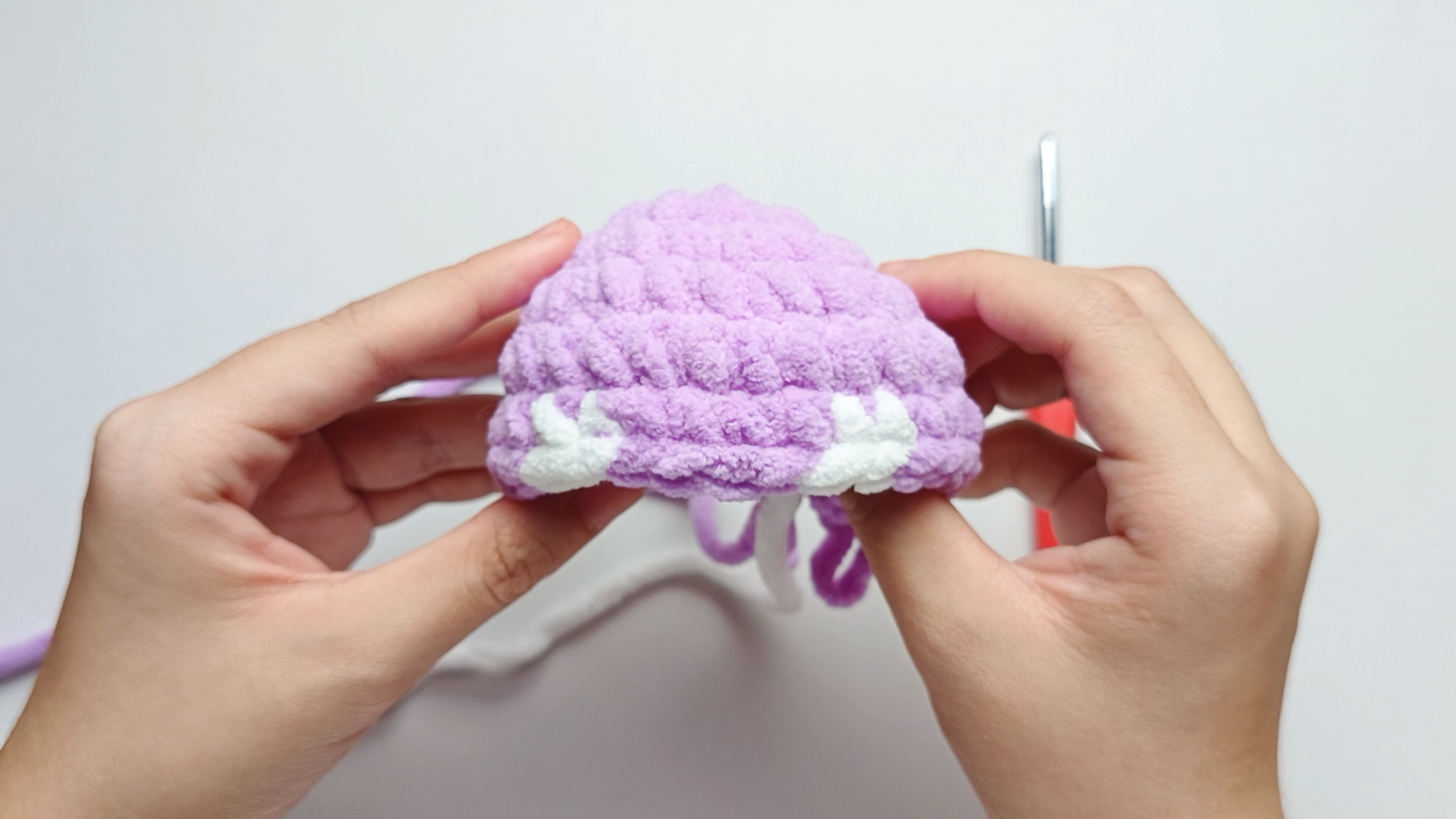 Completed Round 6: Here, we have made single crochets (sc) for 10 purple, 2 white, 4 purple, 2 white, and 10 purple. There should be 28 stitches in total.