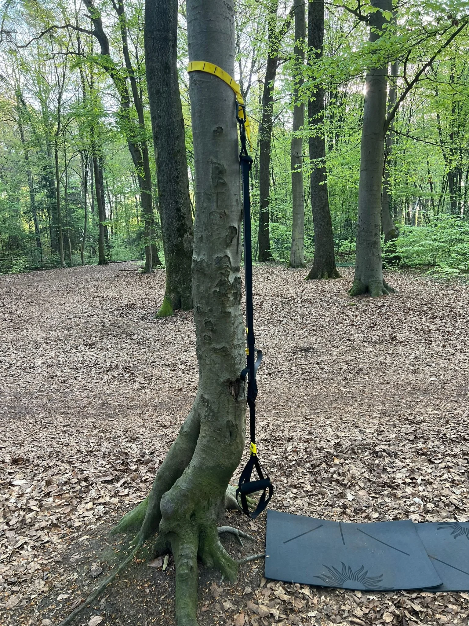 Seehrative Anwendung in einem Wald mit Bäumen, einer Kletterhilfe, Gymnastikband und einer Turnmatte auf dem Boden.