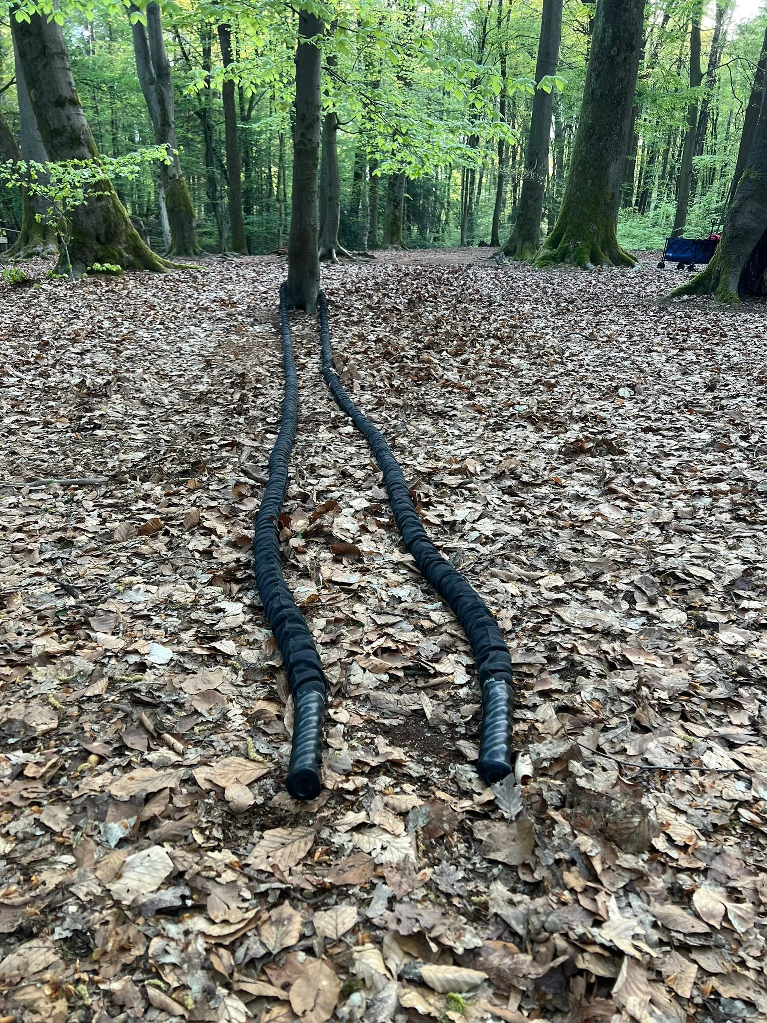 Zwei schwarze flexible Rohre führen zu einem Baum in einem bewaldeten Gebiet. Der Boden ist mit braunen trockenen Blättern bedeckt. Der Wald ist grün mit vielen Bäumen und Laub. In der Ferne sind eine kleine Kiste und ein anderes Gegenstand zu erkennen.