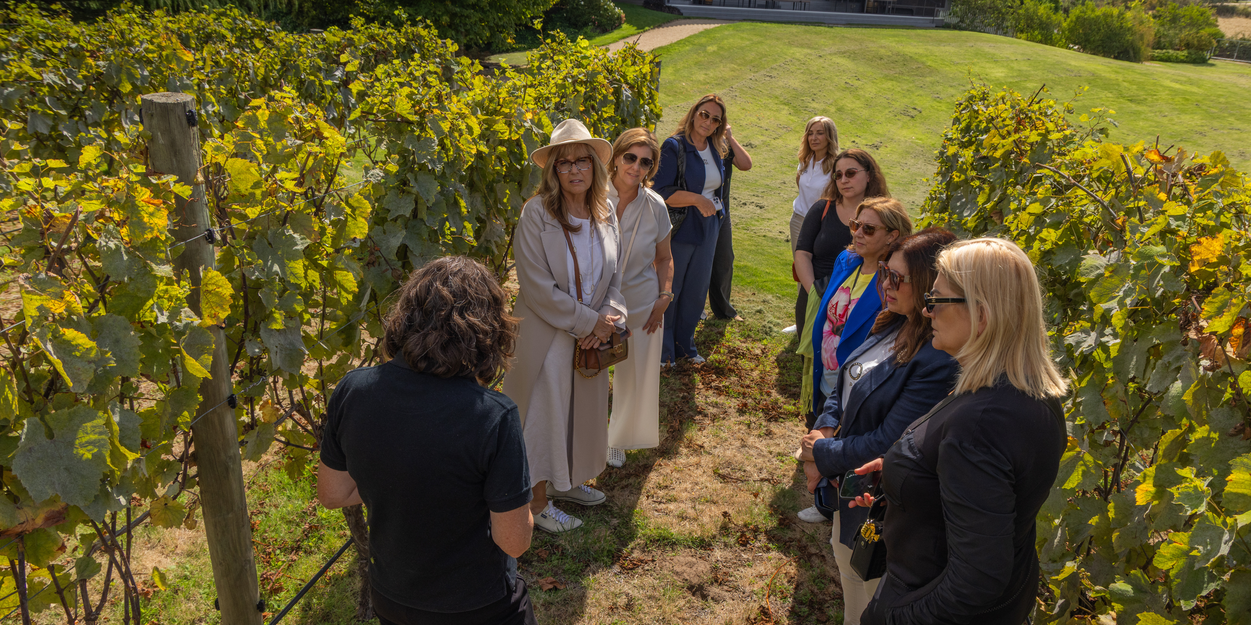 A group of women standing between vineyard rows on a sunny day, listening to a woman who appears to be giving a tour or explanation.