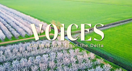 Voices Film Premieres to Sellout Crowd