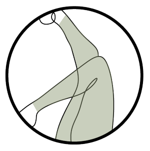 FULL LEG