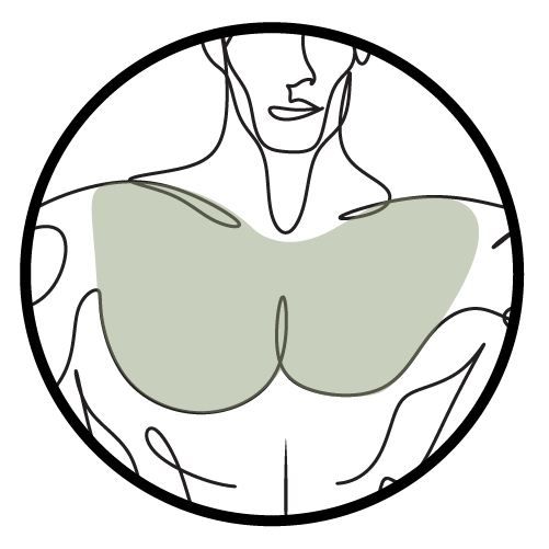 FULL CHEST