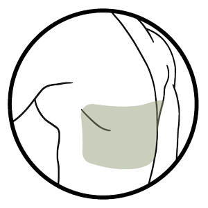 MID-BACK