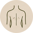 Line drawing of a person's bare torso with simplified outlines of arms, ribs, and waist.