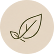 Simple sketch of a leaf with a checkmark inside it.