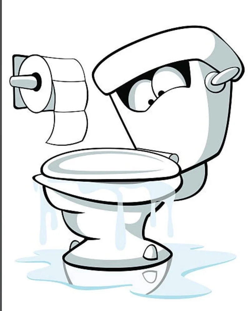 A cartoon toilet with a sad face, overflowing with water, and a roll of toilet paper beside it.