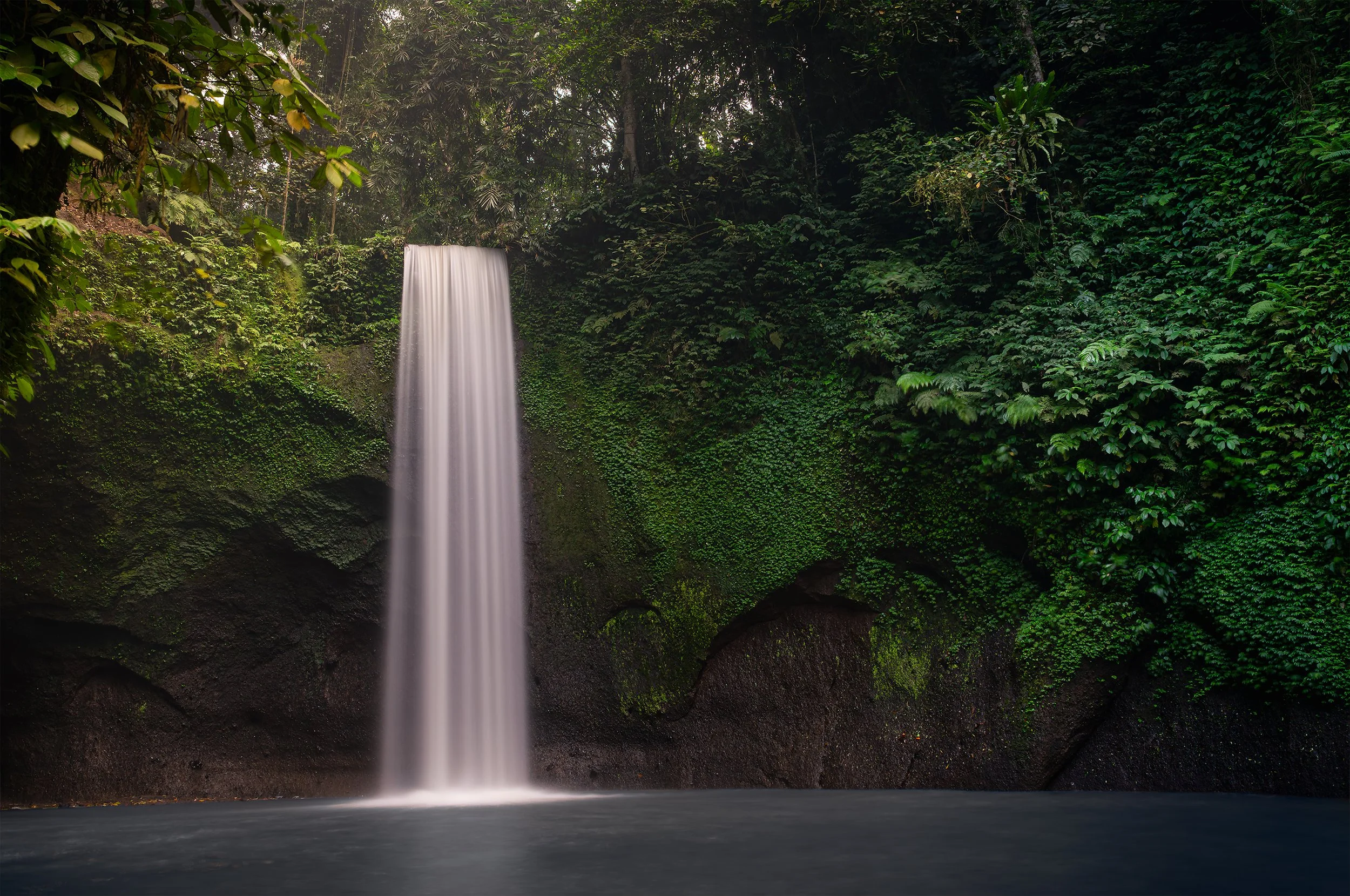 A waterfall flowing into a pool surrounded by lush green foliage in a forest.
