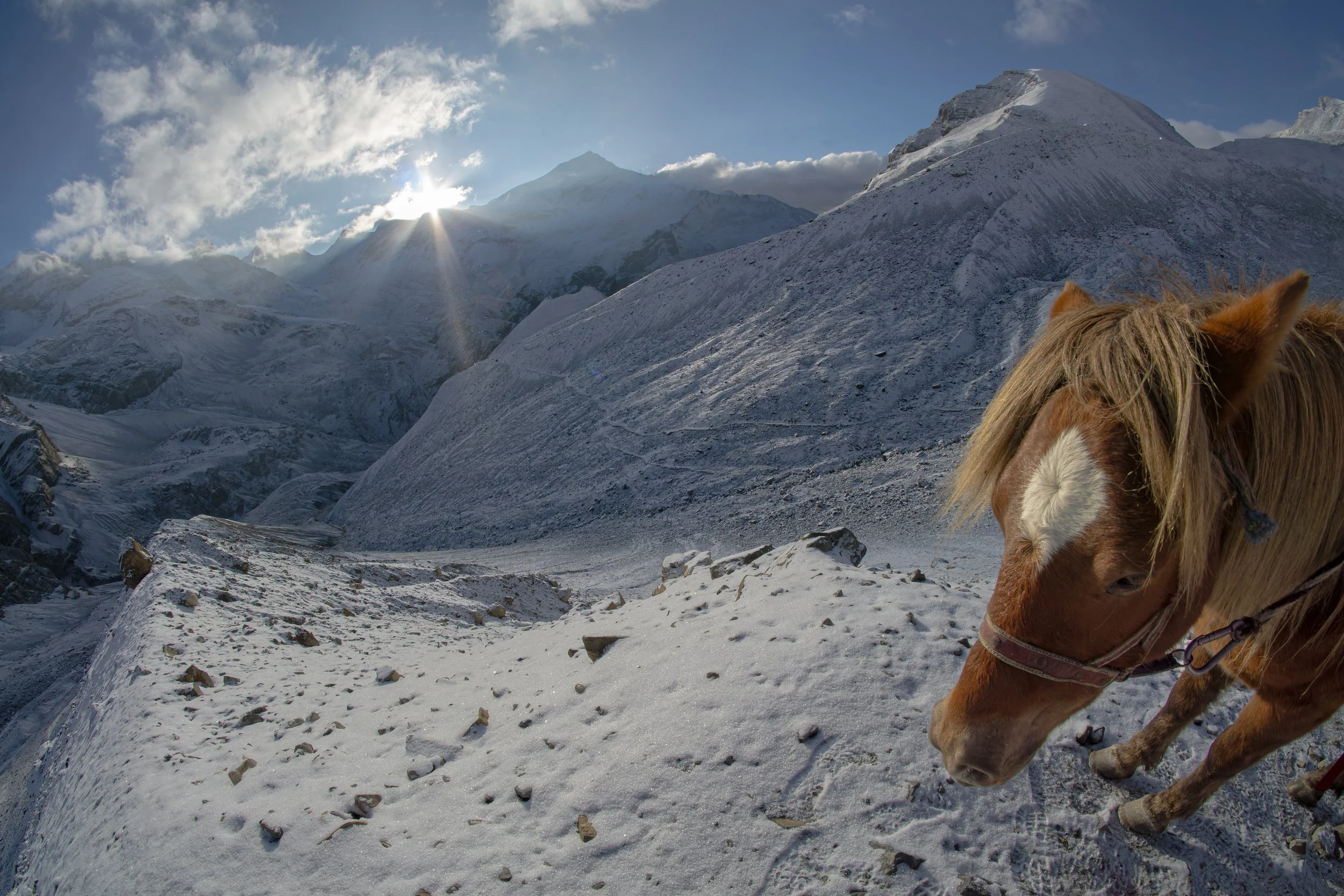 A snowy mountain landscape with a sun shining behind the mountains. A brown and white horse is visible in the foreground, with part of its head and front legs showing.