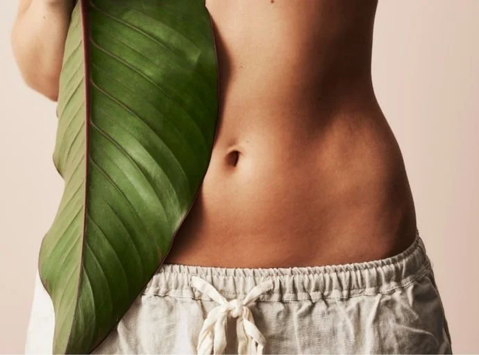 Herbal medicine for improving gut health naturally