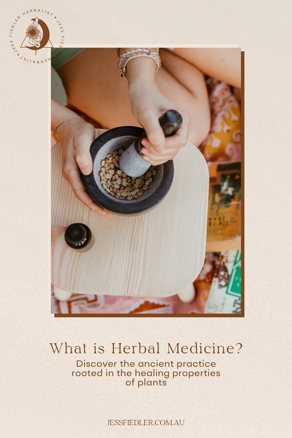 Guide explaining herbal medicine and natural plant-based healing by Jess Fiedler Herbalist