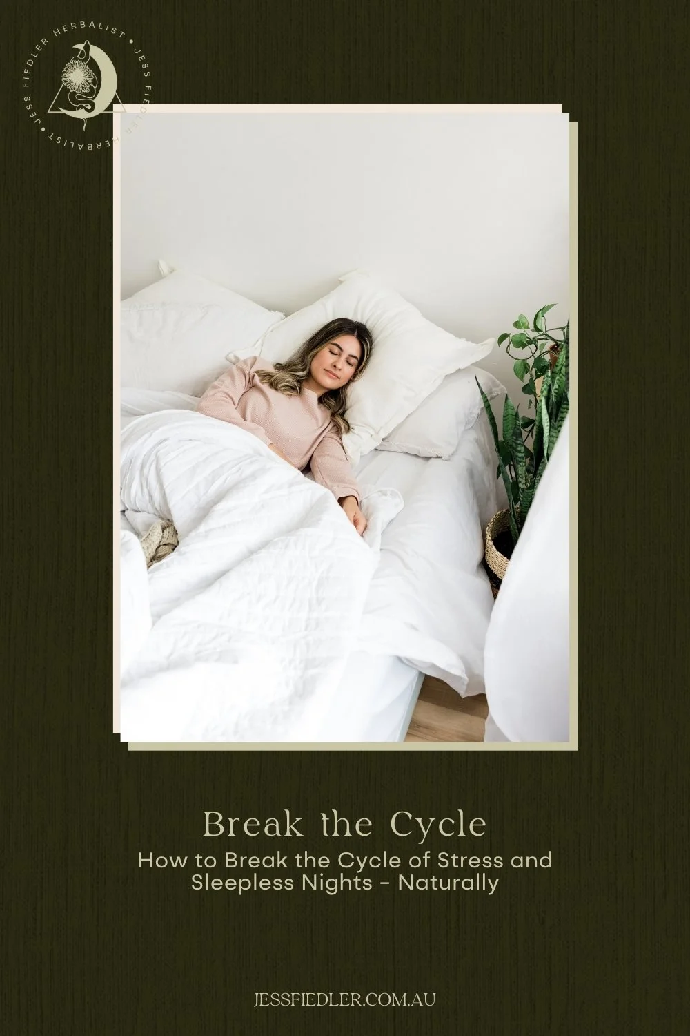 Break the Cycle guide for stress, burnout and sleepless nights by Jess Fiedler Herbalist