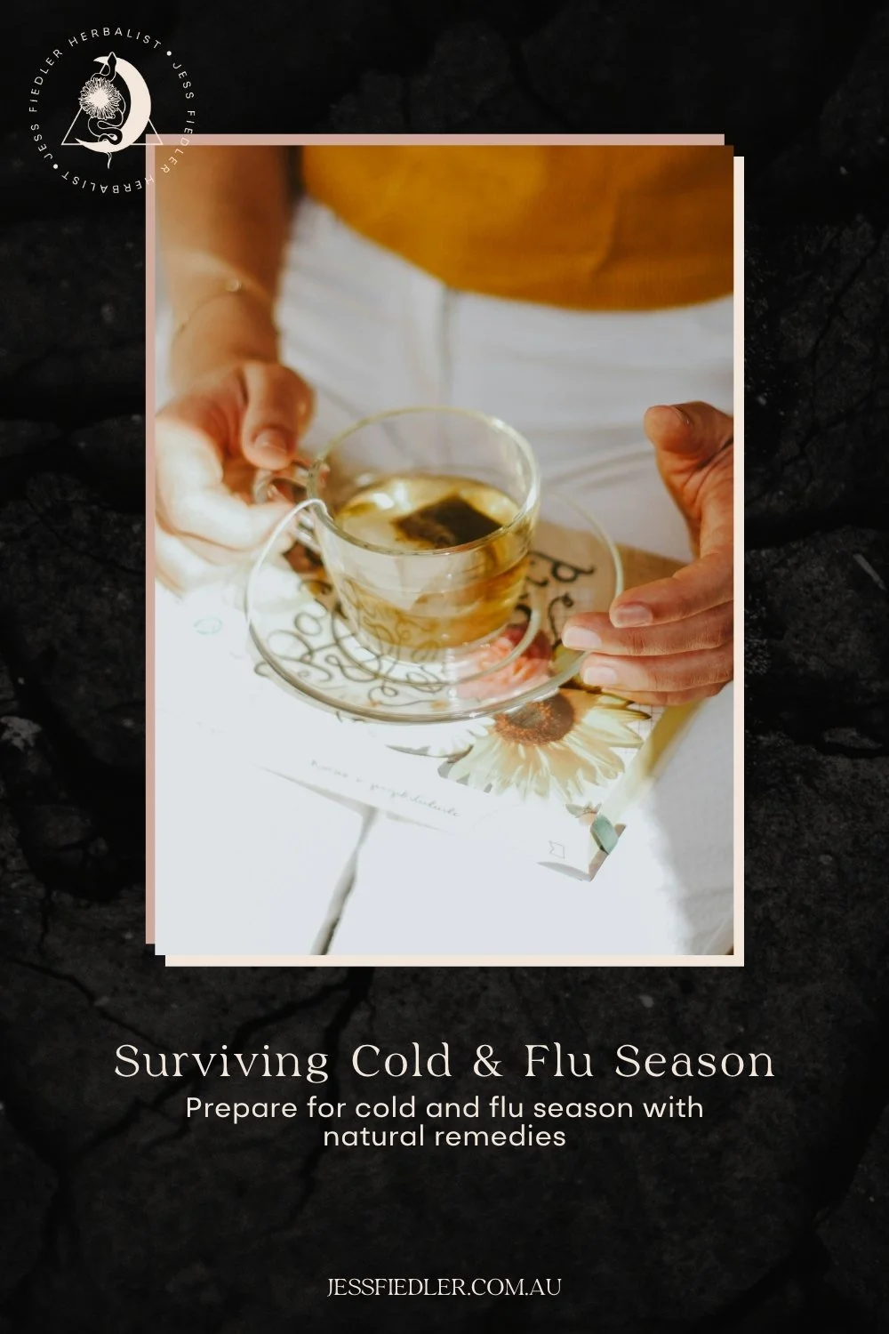 Natural cold and flu remedies guide using herbal medicine to support immunity