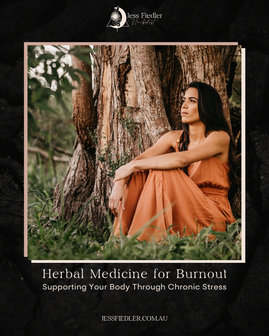 Herbal Medicine for Burnout: Supporting Your Body Through Chronic Stress