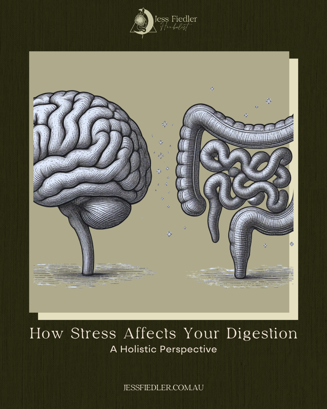 How Stress Affects Your Digestion