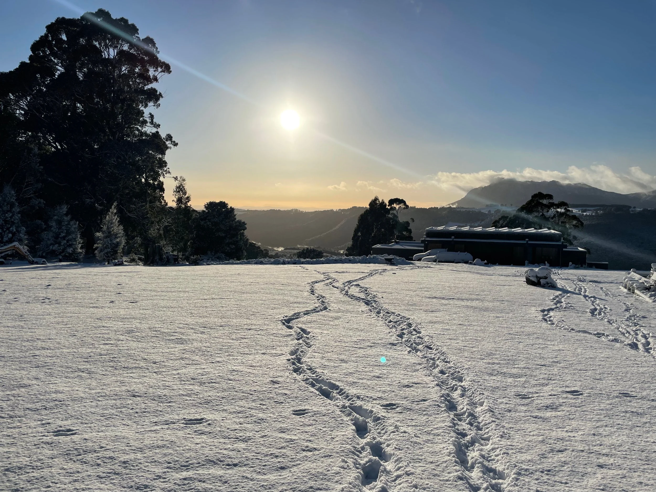 ERRIBA RISE IN SNOW