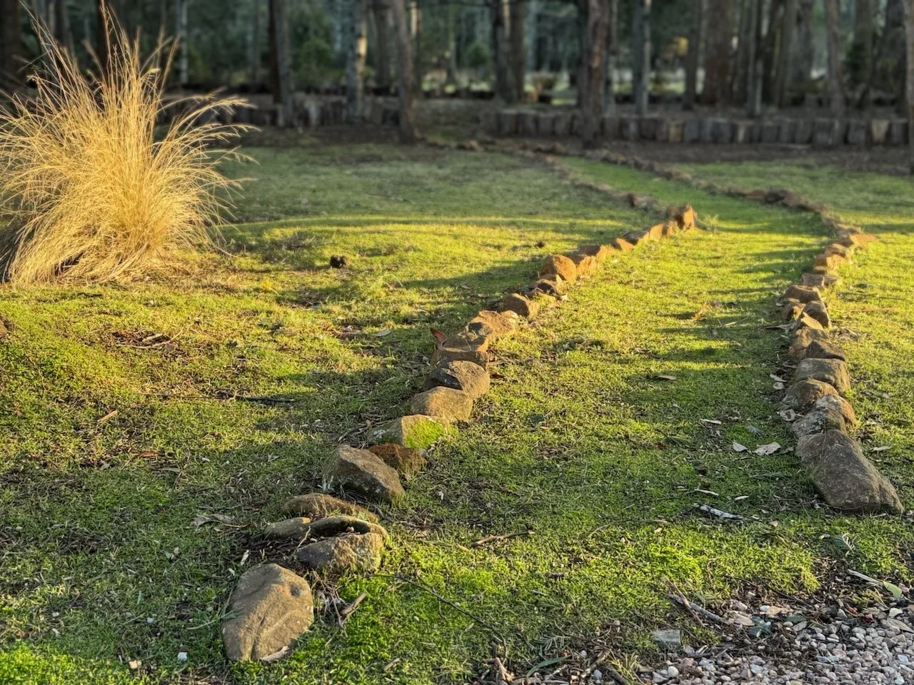 ENCHANTED WAY