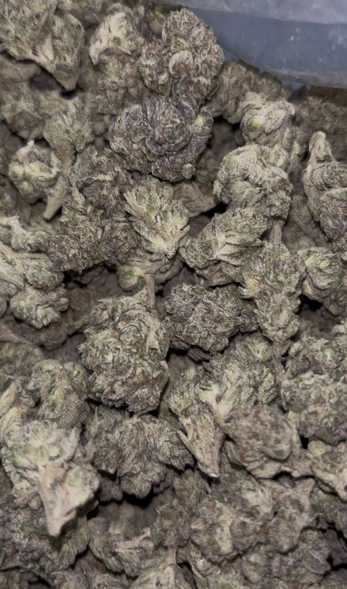 Gas Candy