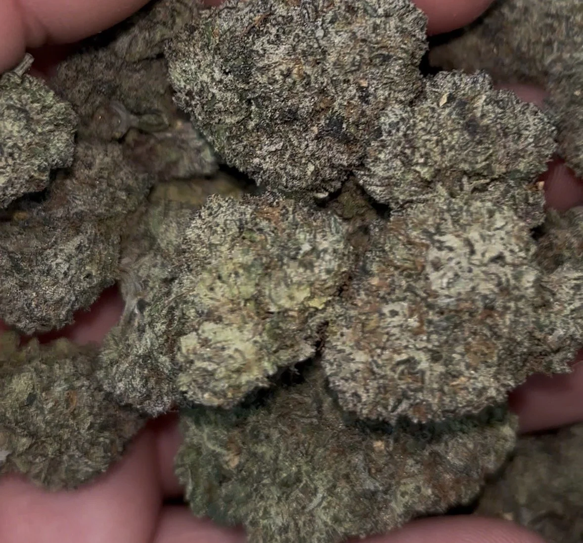 Lemon Cherry Gelato 🍬