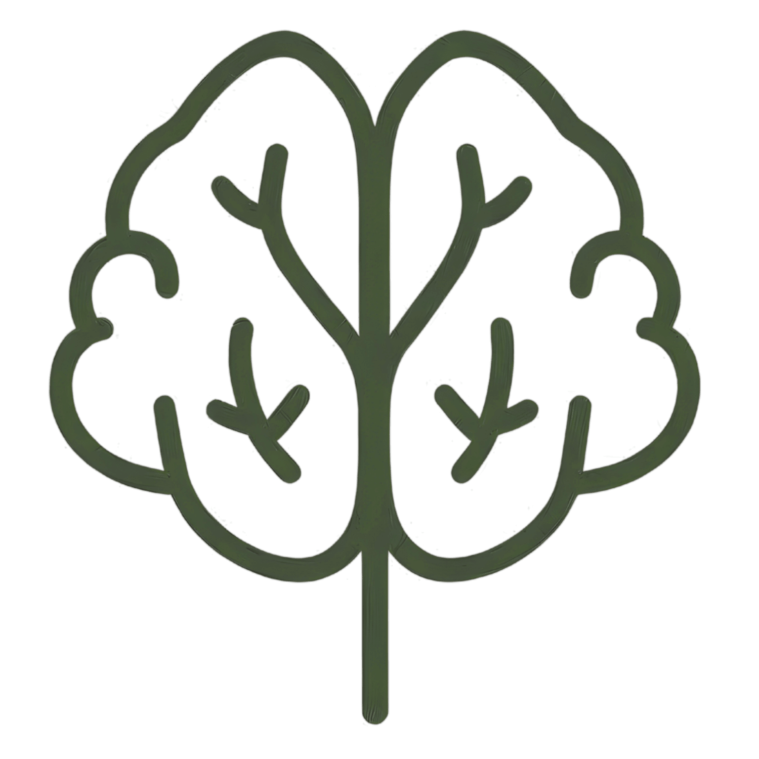 The Wild Learning Collective