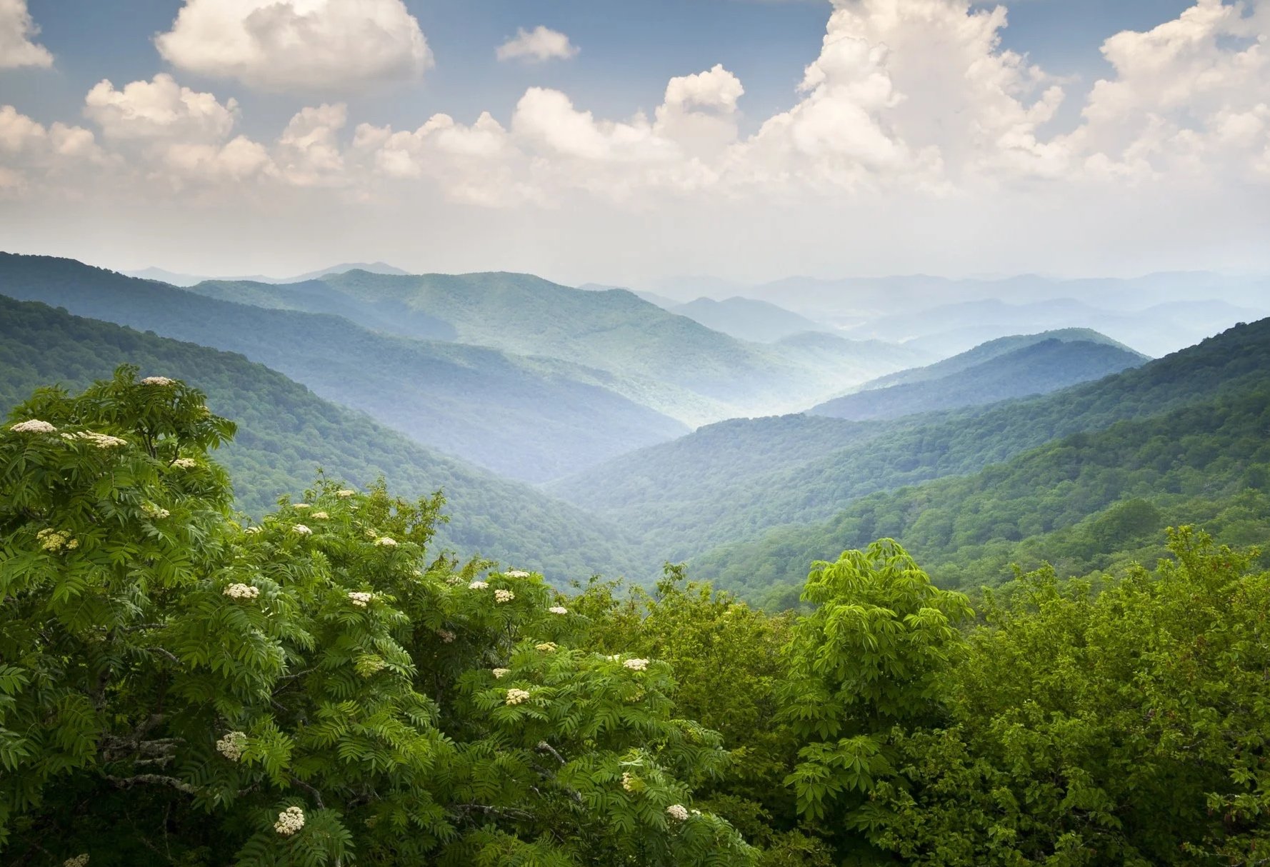 Blue Ridge mountains at dawn