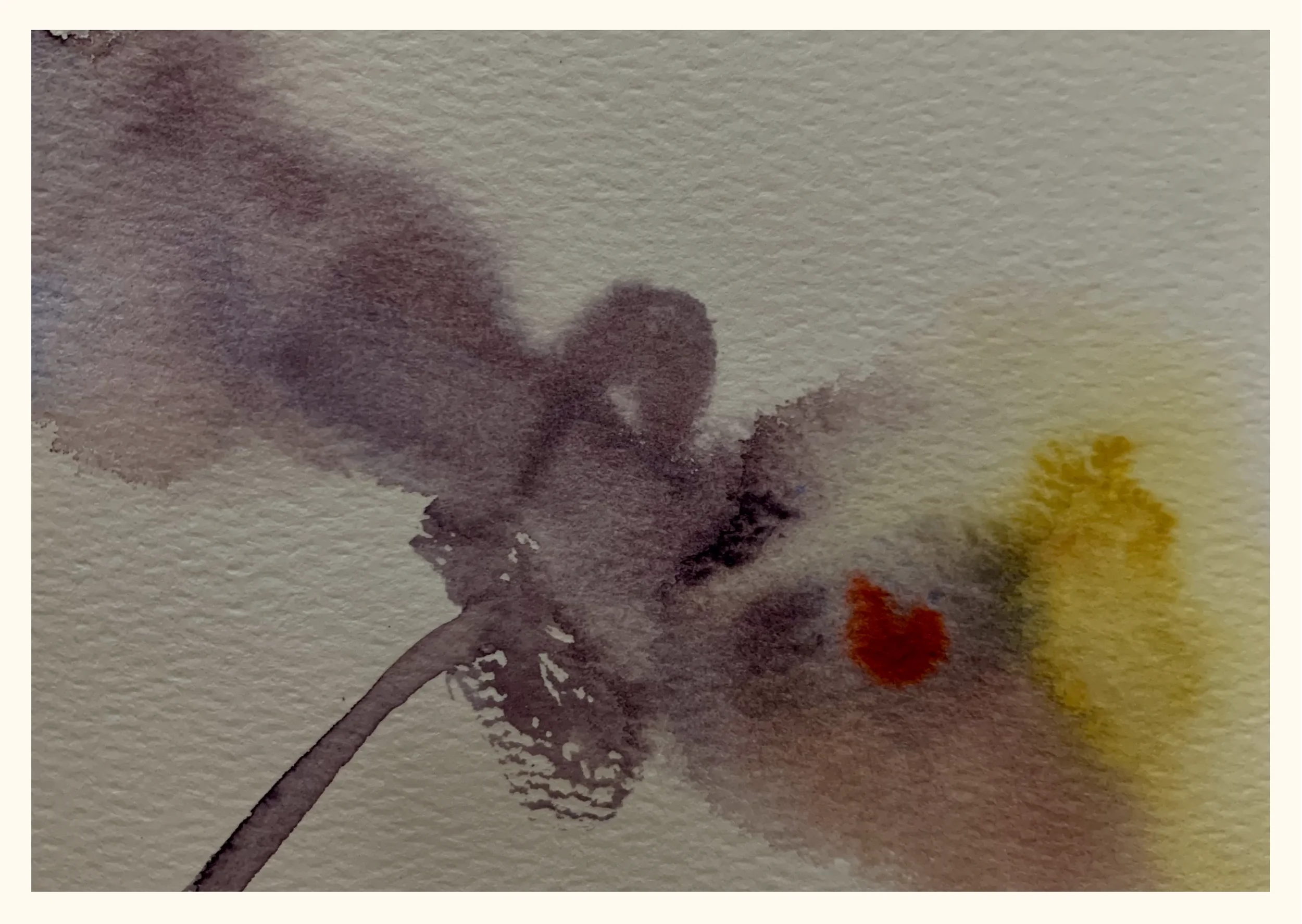 6th Layer (6).webp