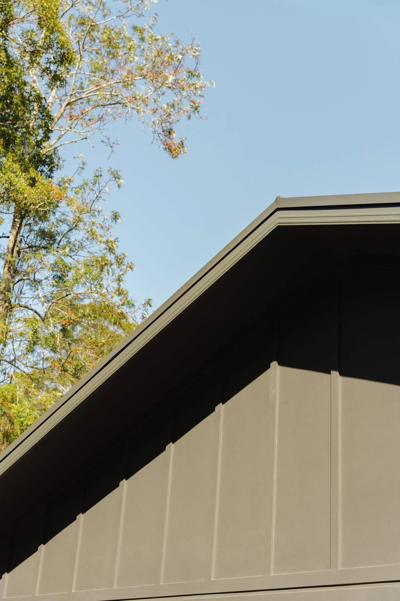 Close-up of the corner of a gray house roof with black trim, against a clear blue sky and a tree with green and some pinkish leaves in the background.