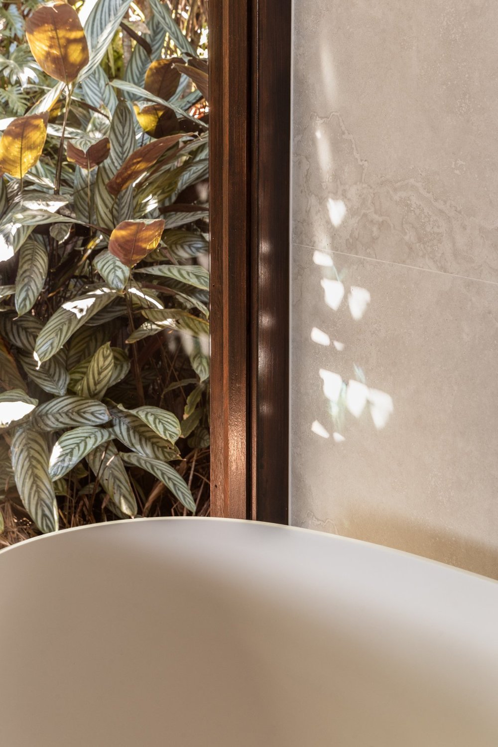 Close-up of a frosted glass or ceramic surface next to a wooden frame and a grey tiled wall, with sunlight casting leaf-shaped shadows on the wall, and green leafy plants visible through a window.