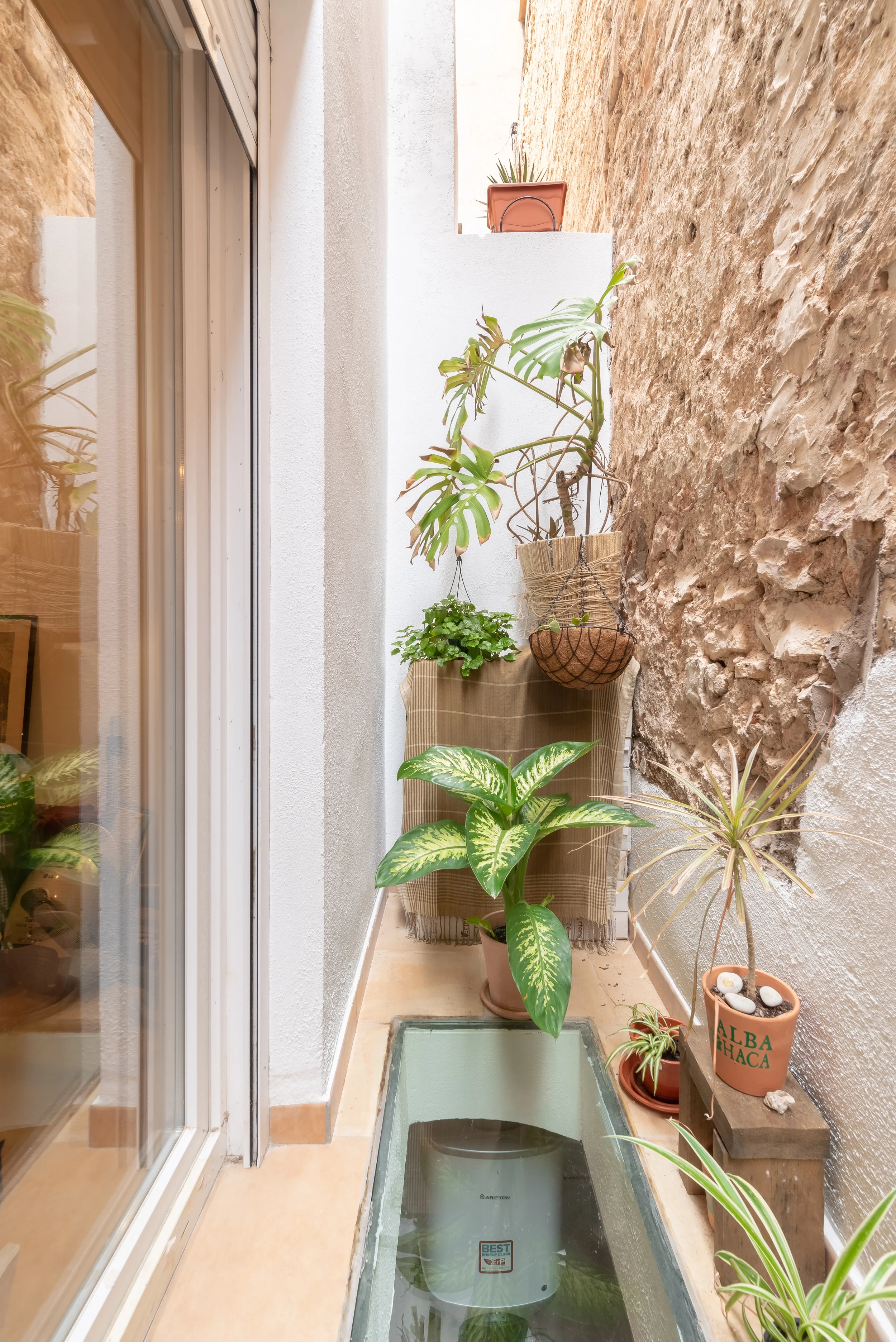 esvibar-arquitectes-lepanto-patio-interior-natural-reforma-vivienda-castellon