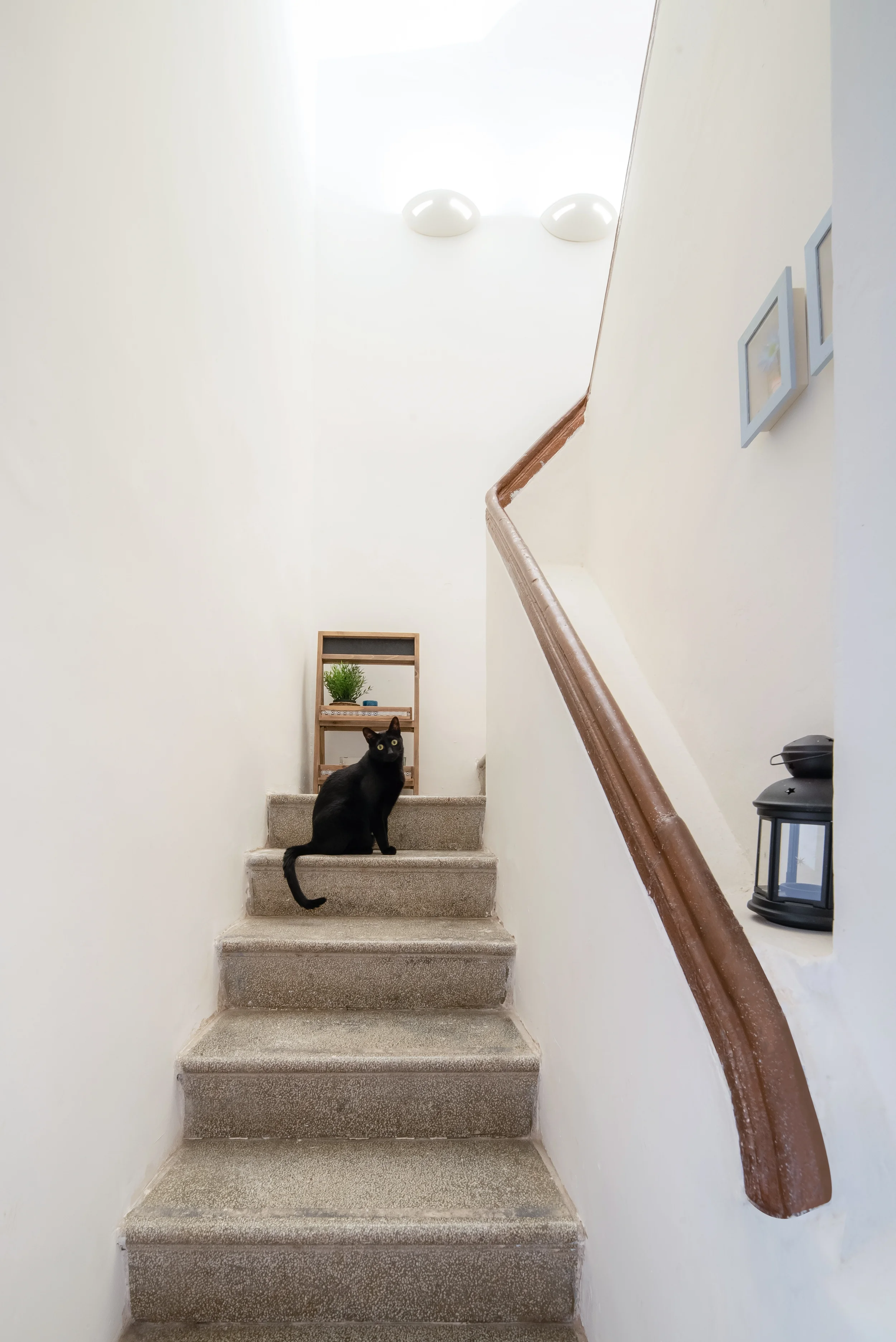 esvibar-arquitectes-lepanto-escaleras-luminosas-reforma-vivienda-castellon.webp