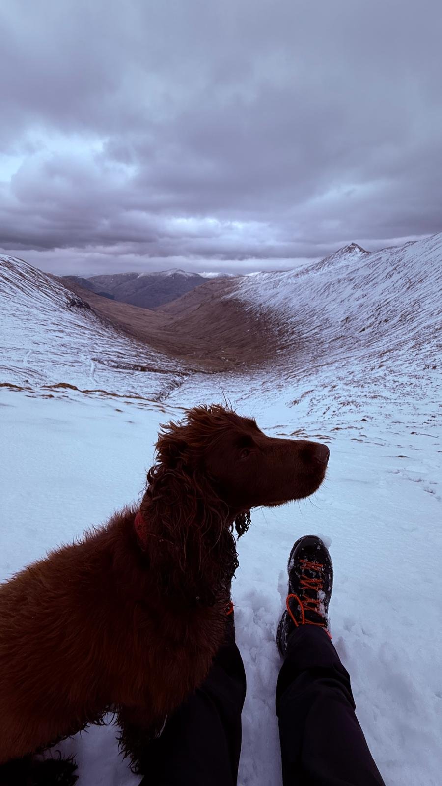 A person in hiking boots sitting in the snow on a mountain trail, with a brown dog beside them, overlooking snow-covered mountain valleys and cloudy sky.
