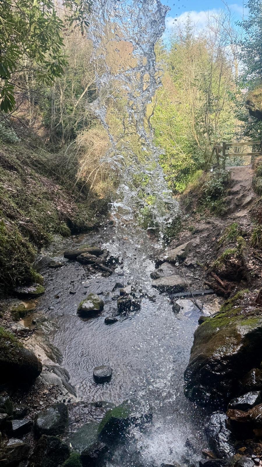 A stream with flowing water and a waterfall falling into the stream, surrounded by trees and rocks in a wooded area.